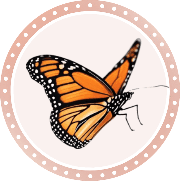 Académie Monarques : Nouveau Départ pour les Jeunes Décrocheurs